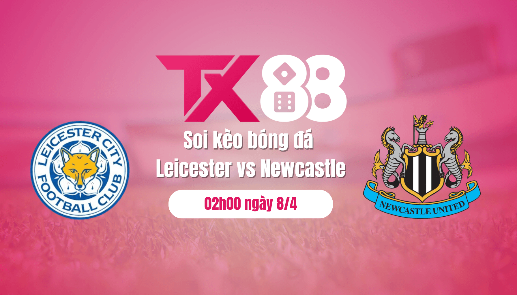 TX88 Soi kèo bóng đá Leicester vs Newcastle, 02h00 ngày 8/4: Chích chòe bắt cáo